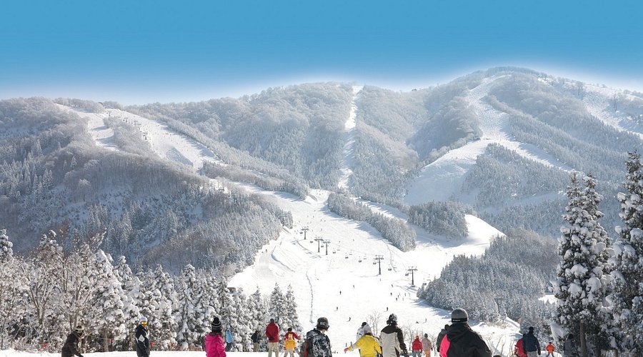 🏂 스키잼 가쓰야마 (스키자무 카츠야마) 이미지 8